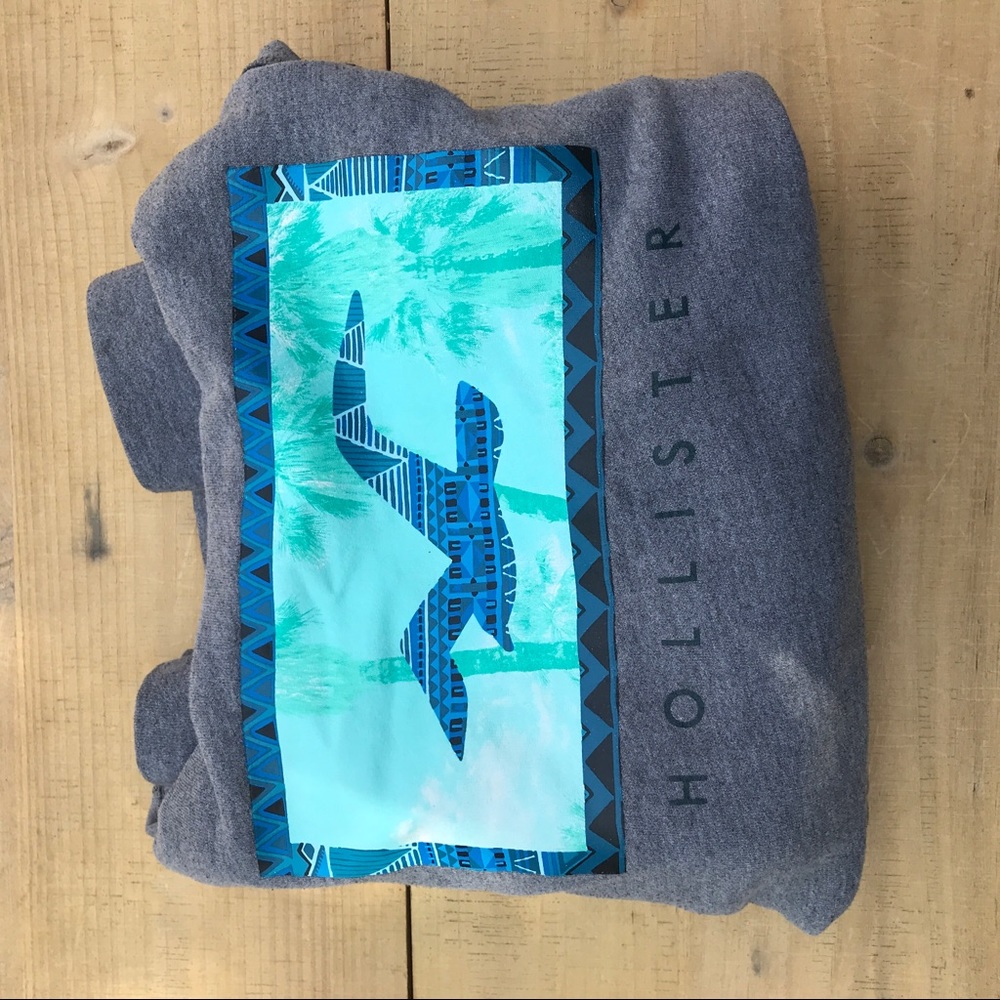 Hollister Sweatshirt